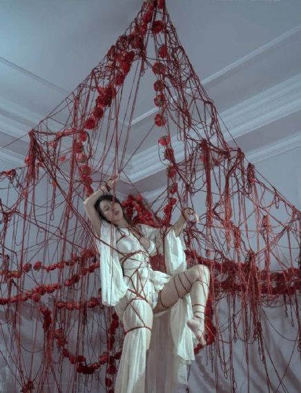 欧美恐怖鲨鱼电影_BD免费全集观看