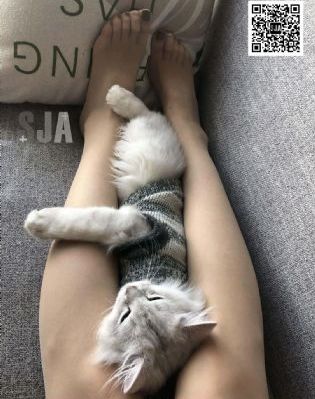 欧美av视频网站_国产剧在线手机播放